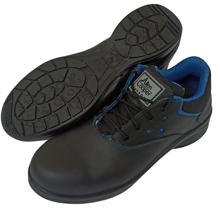 Eliza Ladies Shoes